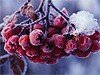 Вечеринки 14 и 15 декабря
