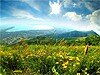 Вечеринки 26 и 27 июля