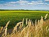 Вечеринки 23 и 24 августа