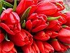 Вечеринки 7, 8 и 9 марта
