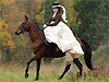 Конно-спортивный праздник на Кубок «Евпатия Коловрата» 19 июля