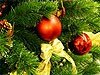 REST-PORTAL.RU ����������� ���� � ����������� ����� ����� � ����������!