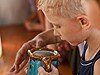 Летний день в Рязанском Кремле